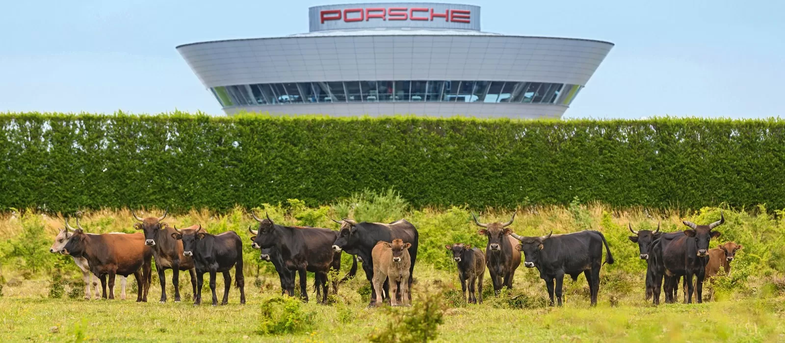Платиновая награда: очередное подтверждение внимания Porsche к вопросам экологии